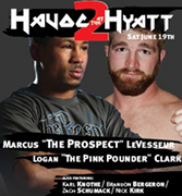 Havoc_at_the_Hyatt_2_poster_180.jpg