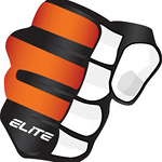 Pro_Elite_Logo_1.jpg