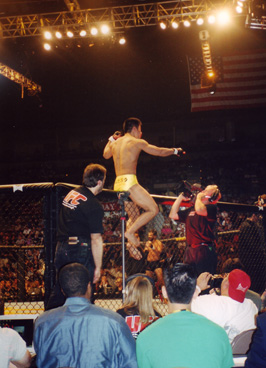 ufcgenericoctagon.jpg