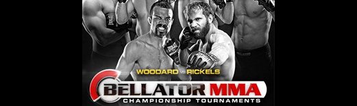 Bellator_87_poster.jpg