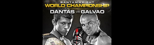 Bellator_89_poster.jpg