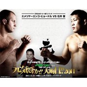 DREAM_NYE_2011_Poster_180.jpg