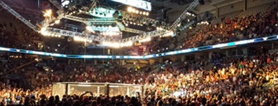 Octagon_photo_wide_199.jpg