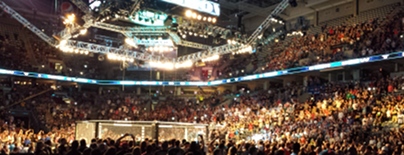 Octagon_photo_wide_294.jpg
