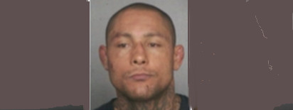 Thiago_Silva_mugshot_2.jpg