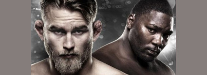 UFC_on_Fox_14_poster.jpg